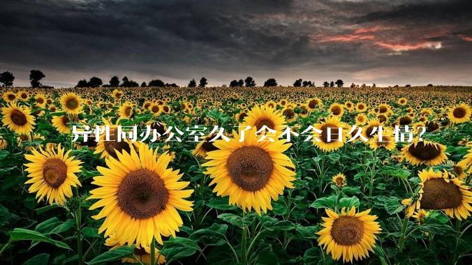 异性同办公室久了会不会日久生情？