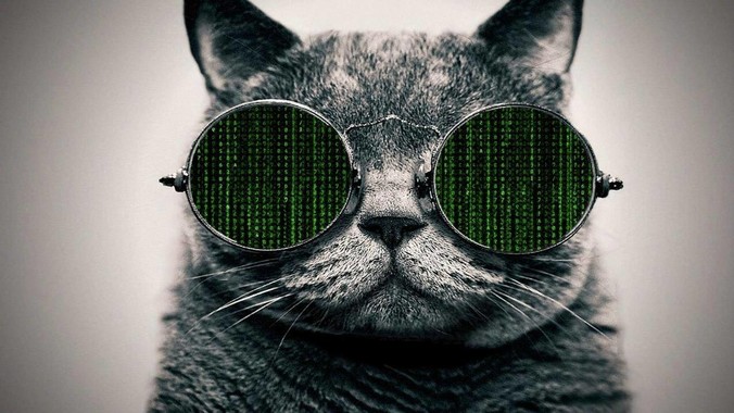 汉语是牺牲了什么,才成为世界最紧凑、最高效的语言?
